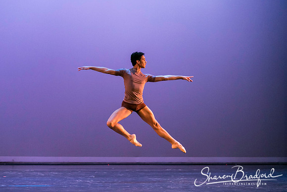 Intentions pc Sharen Bradford-4567