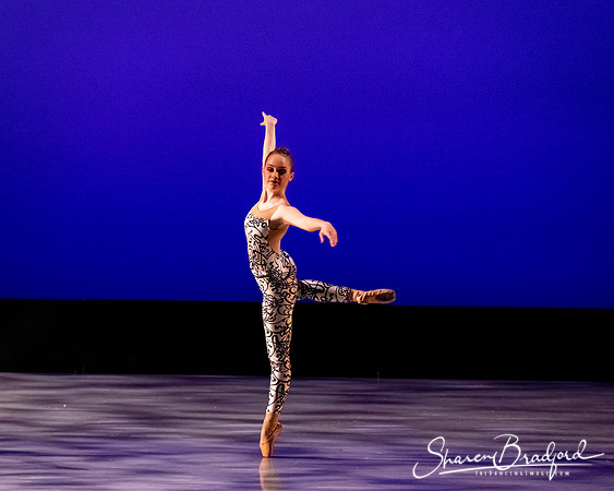 Ballet 37 pc Sharen Bradford-0523