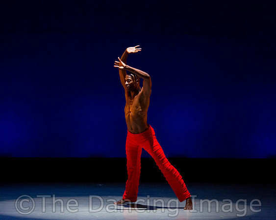 Alvin Ailey ADT-0088