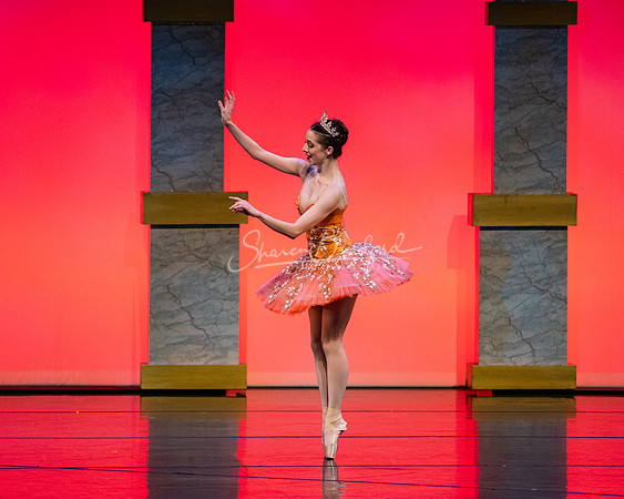 Ballet NTX Sleeping Beauty pc Sharen Bradford-0171