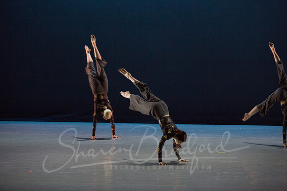 Beyond the Cover pc Sharen Bradford-6837