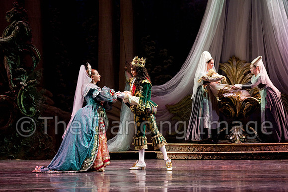 TB Sleeping Beauty Wed.-0007