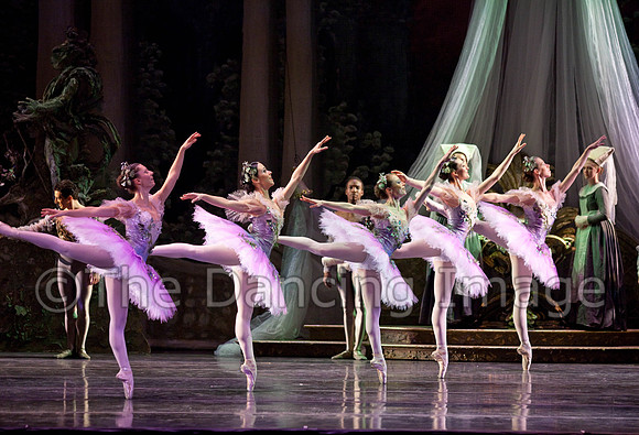 TB Sleeping Beauty Wed.-0050