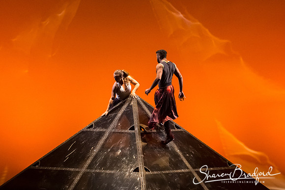 DIAVOLO - Voyage pc Sharen Bradford-0288