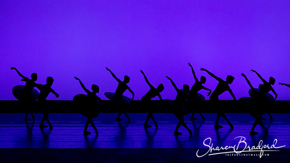 Ballet 37 pc Sharen Bradford-0205