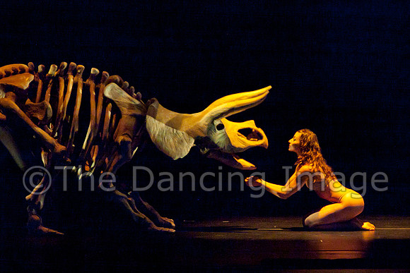 Botanica-0229
