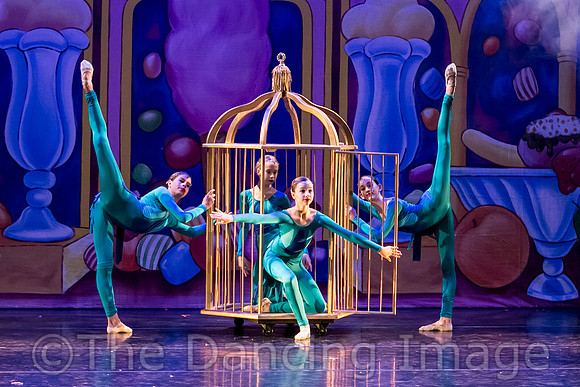 Royale Ballet Nutcracker-1778