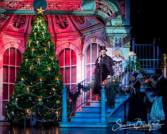 Nutcracker matinee pc Sharen Bradford-4292