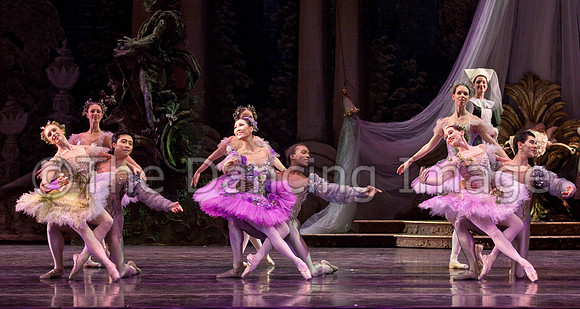 TB Sleeping Beauty Wed.-0110