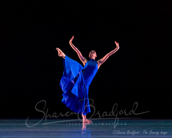 Following Echoes - pc Sharen Bradford-0961