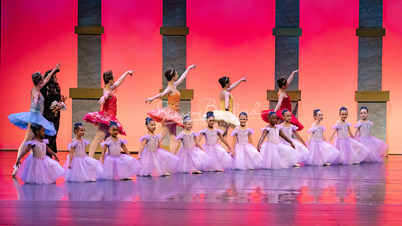 Ballet NTX Sleeping Beauty pc Sharen Bradford-0027