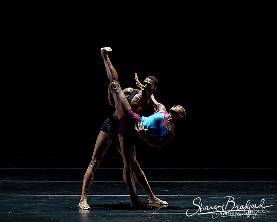 DBDT Execution of a Sentiment pc Sharen Bradford-0891