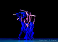 Following Echoes - pc Sharen Bradford-0929