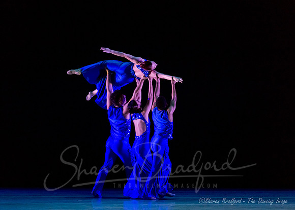 Following Echoes - pc Sharen Bradford-0929