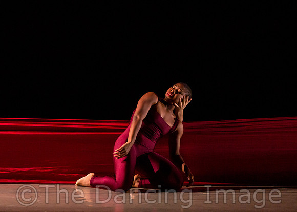 DBDT Encore-8664