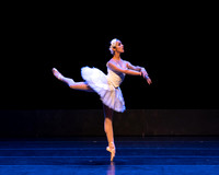 Dying Swan pc Sharen Bradford-1198