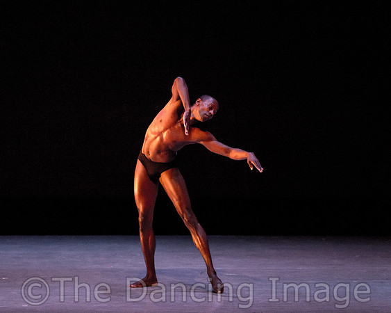 Alvin Ailey ADT-2268