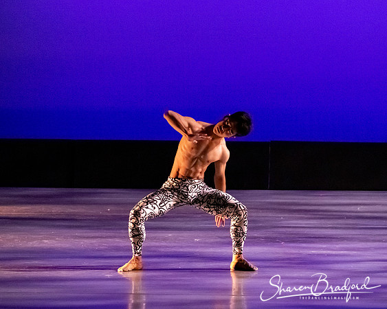 Ballet 37 pc Sharen Bradford-0476