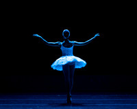 Dying Swan pc Sharen Bradford-1164