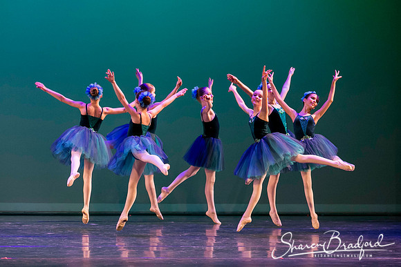 Khachaturian Waltz pc Sharen Bradford-3711