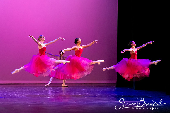 Waltz of the Flowers pc Sharen Bradford-2793