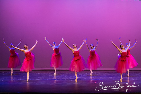 Waltz of the Flowers pc Sharen Bradford-2879