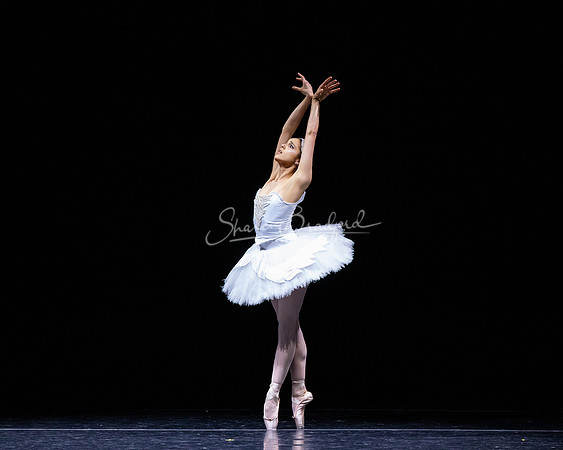 Dying Swan pc Sharen Bradford-1261