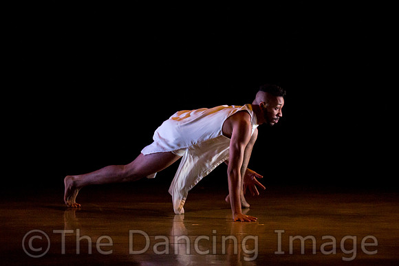 Elisa Monte Dance-7627