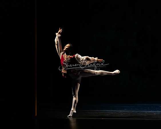 Ballet NTX Sleeping Beauty pc Sharen Bradford-1517