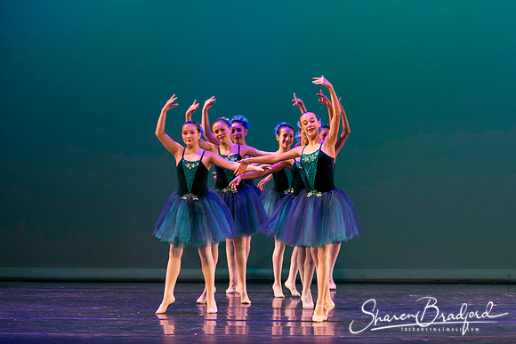 Khachaturian Waltz pc Sharen Bradford-3704