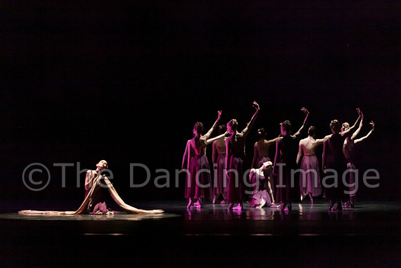 Dallas Ballet Company-1482