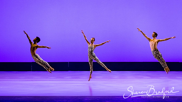 Ballet 37 pc Sharen Bradford-0325