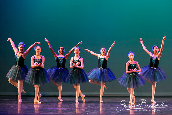 Khachaturian Waltz pc Sharen Bradford-3726