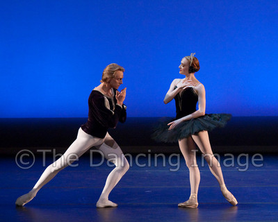 Black Swan-1124