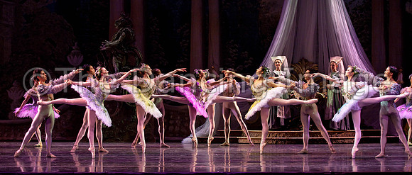 TB Sleeping Beauty Wed.-0141
