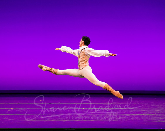 Swan Lake Pas de Trois-3998