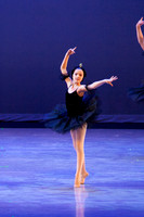 The Black Swans-3415