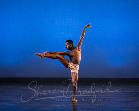 DBDT Encore pc Sharen Bradford-5139