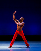 Alvin Ailey ADT-0044