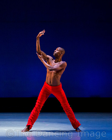 Alvin Ailey ADT-0044