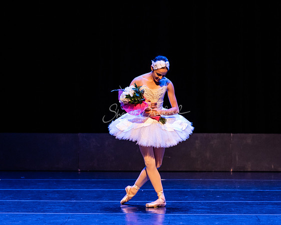 Dying Swan pc Sharen Bradford-1285