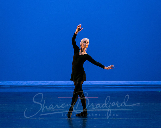 Suzelle Poole- Romance-1287