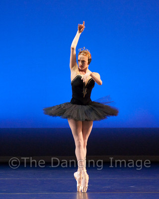 Black Swan-1160