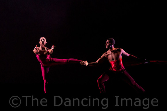 DBDT Encore-8675