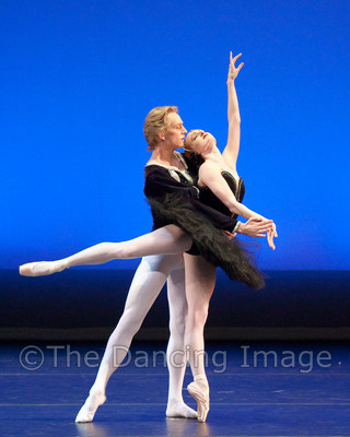 Black Swan-1133