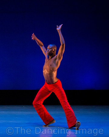 Alvin Ailey ADT-0034