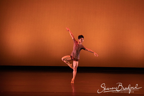 TBT Studio  pc Sharen Bradford-3984