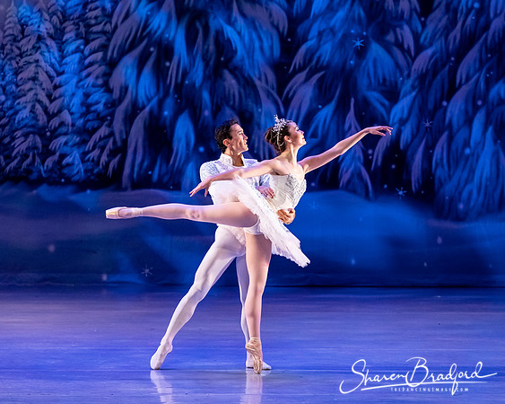 CCBT Nutcracker 19 pc Sharen Bradford-4919