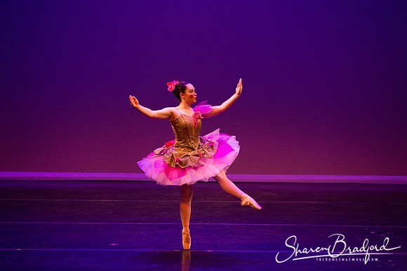 Clara's Dream 2019 pc Sharen Bradford-0050