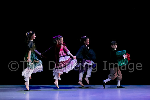 Nutcracker Sat-2742